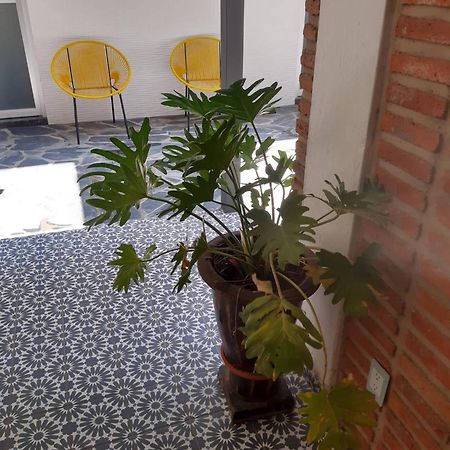 Estudio #5 Casa Fatima, 8 Min Del Centro 1 Persona Guadalajara Zewnętrze zdjęcie