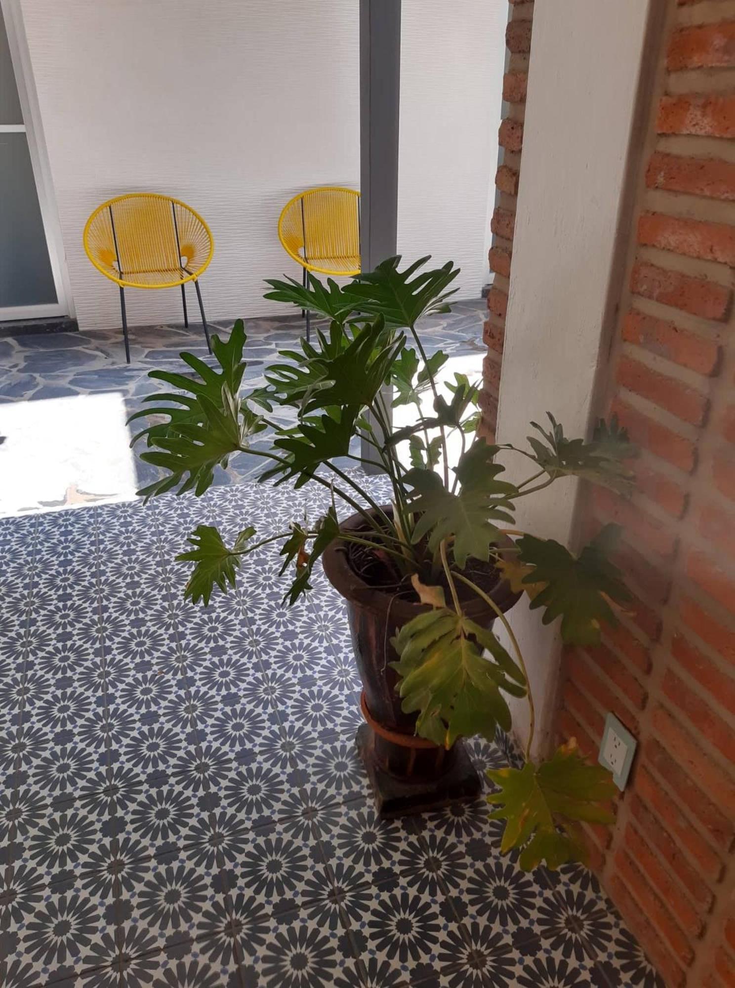 Estudio #5 Casa Fatima, 8 Min Del Centro 1 Persona Guadalajara Zewnętrze zdjęcie